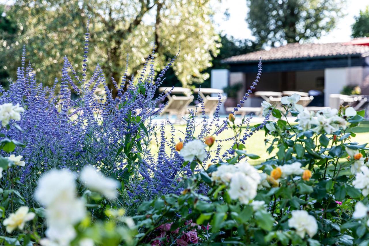 فندق Il Mulino Relais بياتشينسا المظهر الخارجي الصورة
